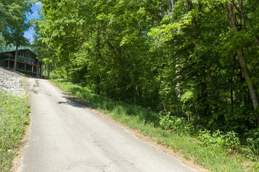 0 Bill Perry Dr, Sugar Tree, TN 38380 - #3