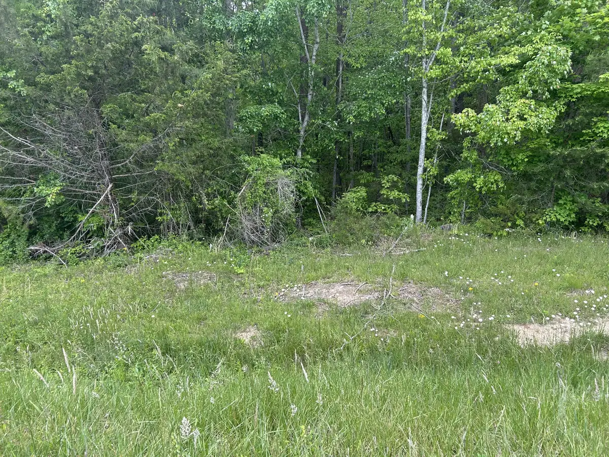 0 Rt Davis Rd, Spencer, TN 38585 - #1