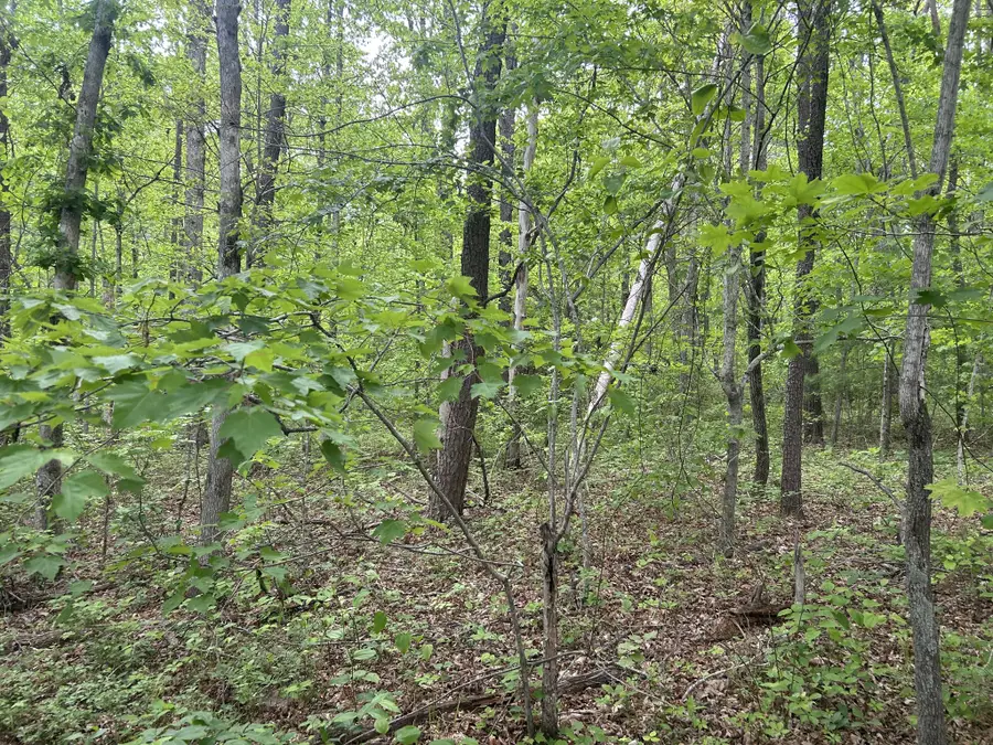 0 Rt Davis Rd, Spencer, TN 38585 - #3