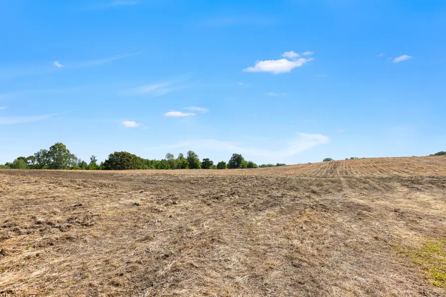0 Cooper Nicholson Road, Springfield, TN 37172 - #3