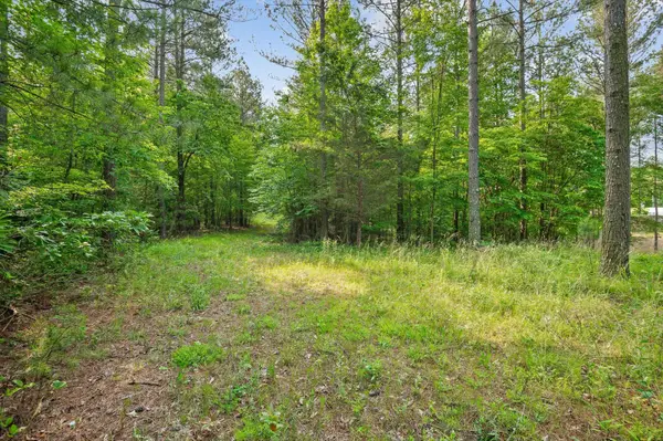 0 Split Rail Way, Guild, TN 37340