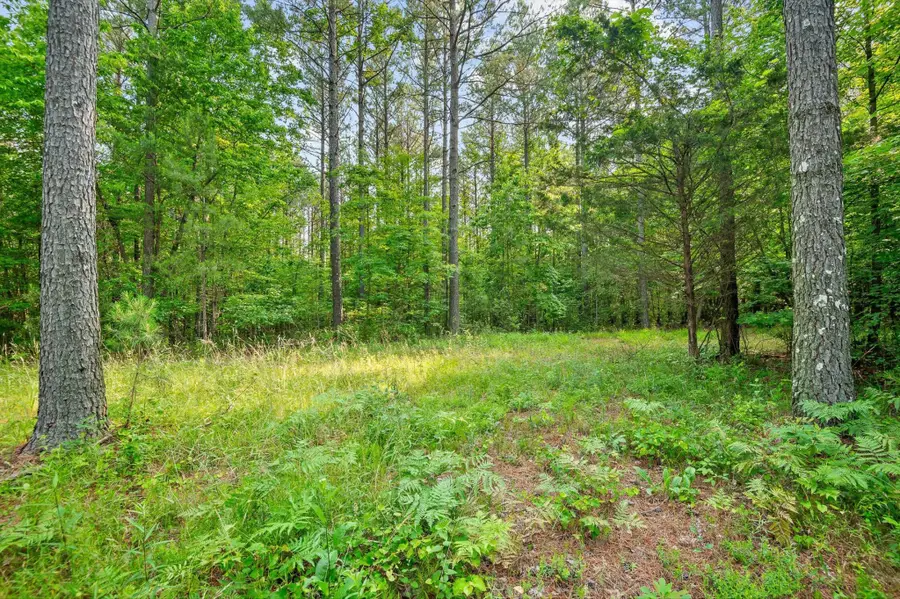 0 Split Rail Way, Guild, TN 37340 - #2