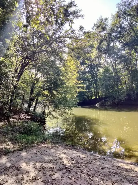 0 Boat Ramp Ln, Decaturville, TN 38329 - #2