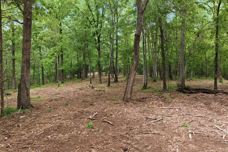 0 Willow Springs Road, Lyles, TN 37098 - #2