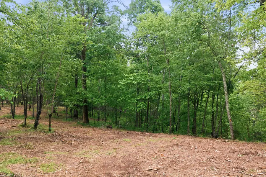 0 Willow Springs Road, Lyles, TN 37098 - #3