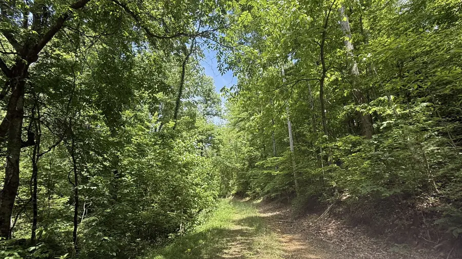 143 Buford Hughey Rd, Dellrose, TN 38453 - #2