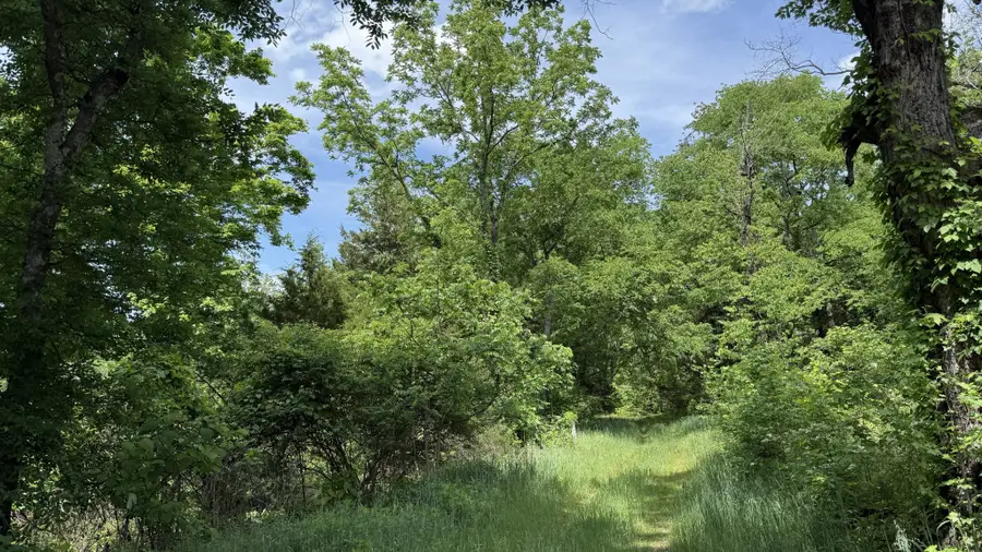 143 Buford Hughey Rd, Dellrose, TN 38453 - #3