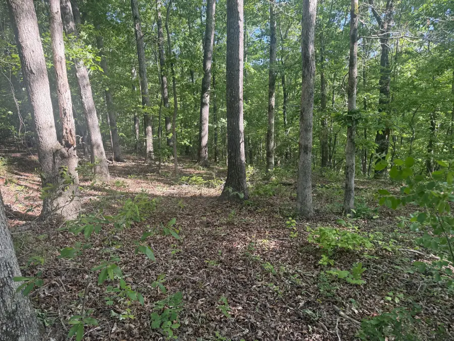 147 Wild Turkey Ct, Summertown, TN 38483 - #2