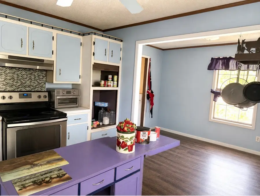20 Morrison Rd, Gruetli Laager, TN 37339 - #3