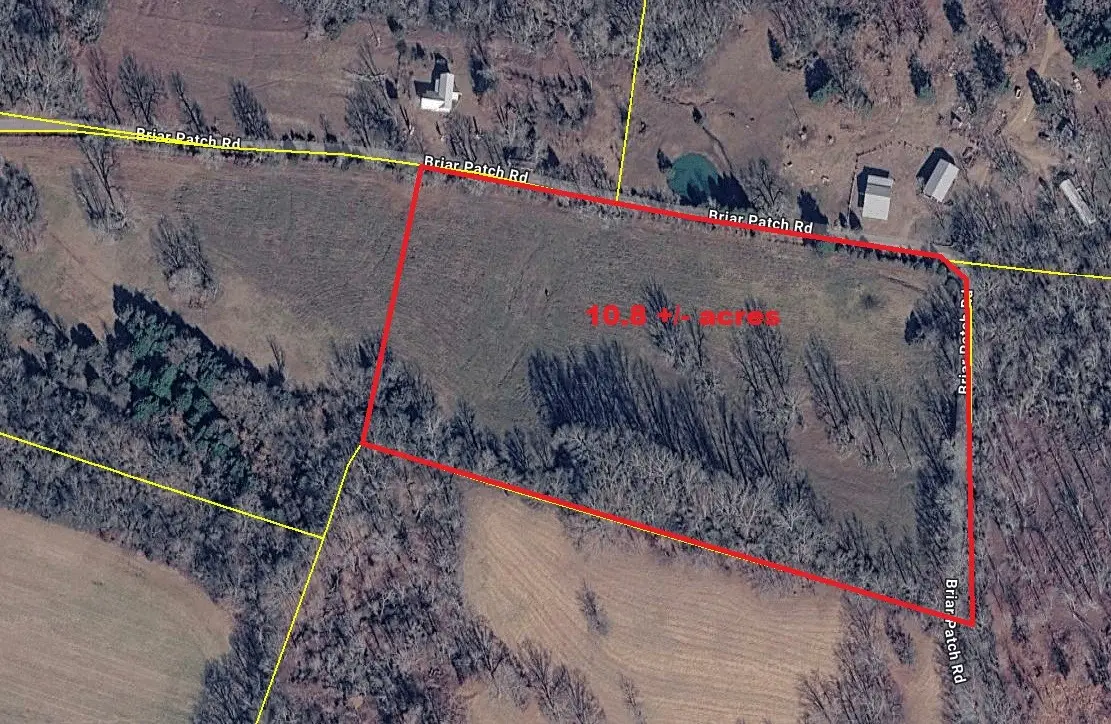 10A Briar Patch Road, Prospect, TN 38477 - #1