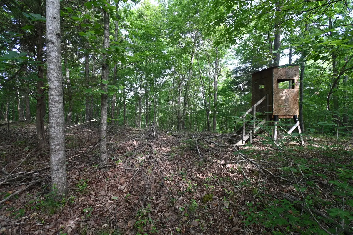 0 Lower Crooked Creek Rd, Lobelville, TN 37097 - #1