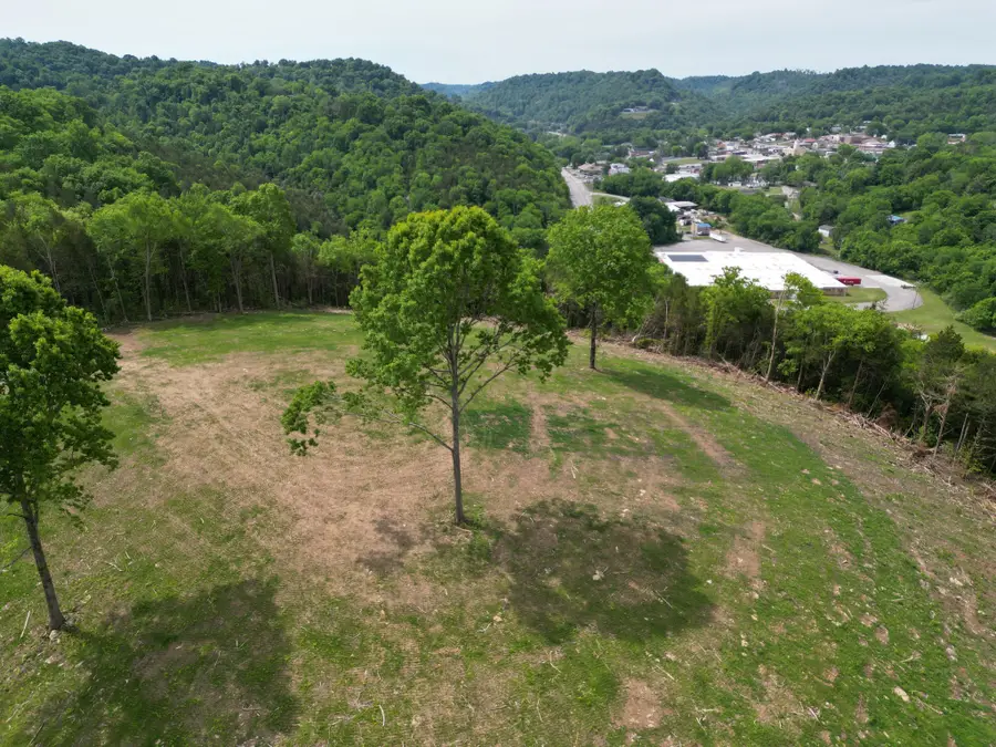 0 Baugh Hollow Rd, Gainesboro, TN 38562 - #2