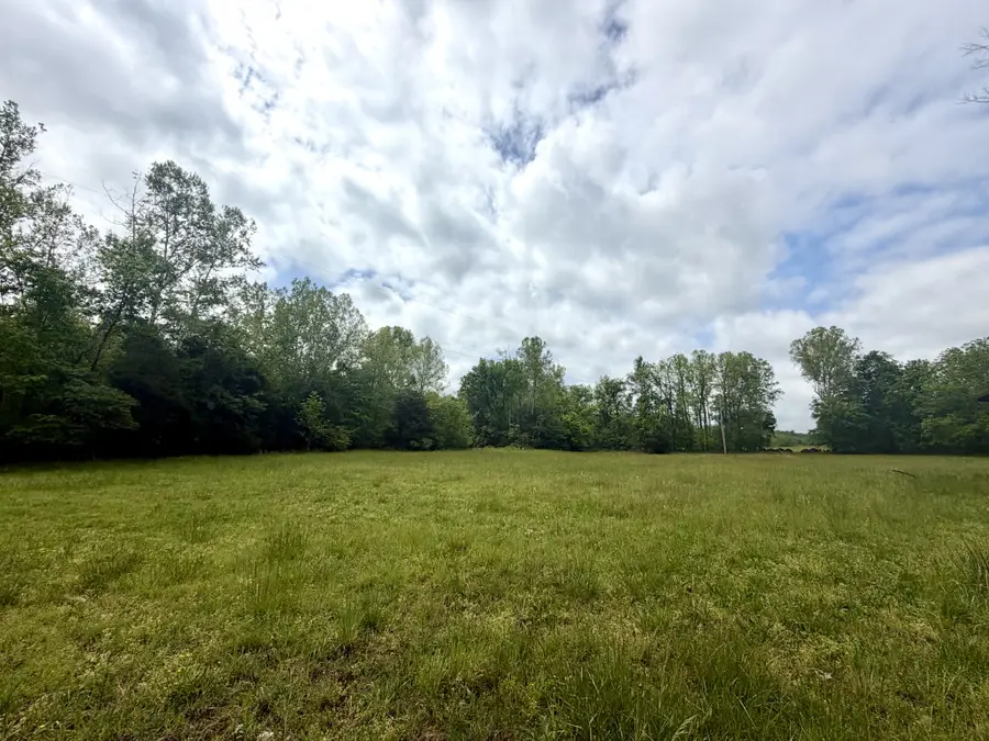 1675 Balthrop Branch Rd, Dickson, TN 37055 - #2