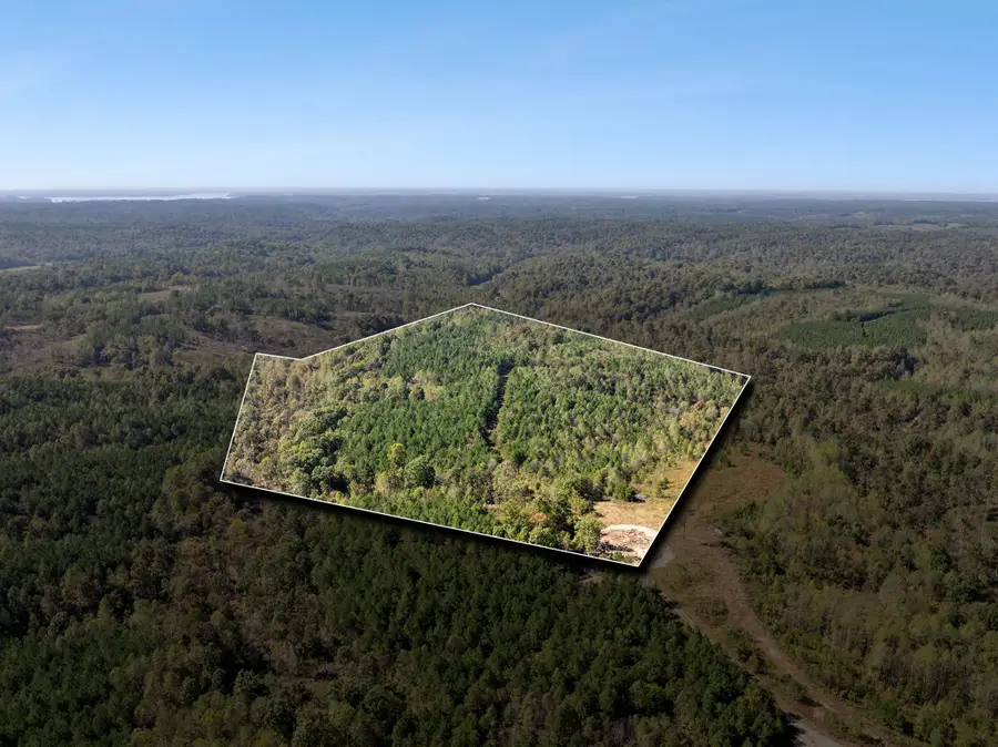 0 Cox Hollow Lot 43a & 43b, Dover, TN 37058 - #2