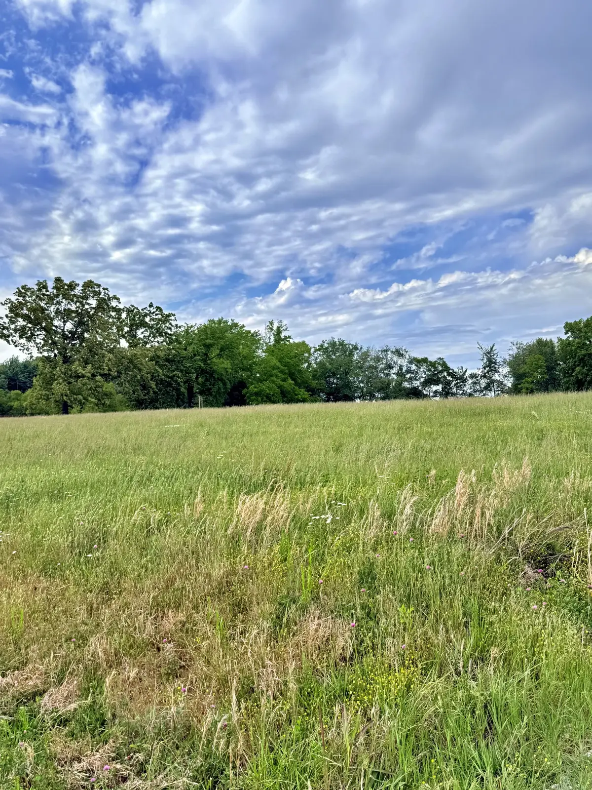 0 Highway 41 N, Springfield, TN 37172 - #1