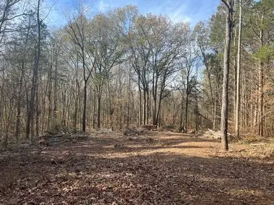 21 Bayview Dr, Bumpus Mills, TN 37028