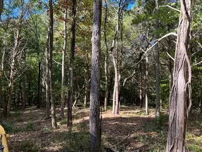 21 Bayview Dr, Bumpus Mills, TN 37028 - #3