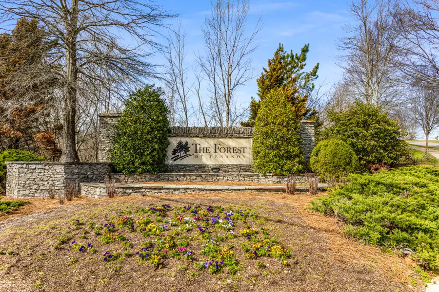 232 Amana Dr, Lebanon, TN 37087 - #2