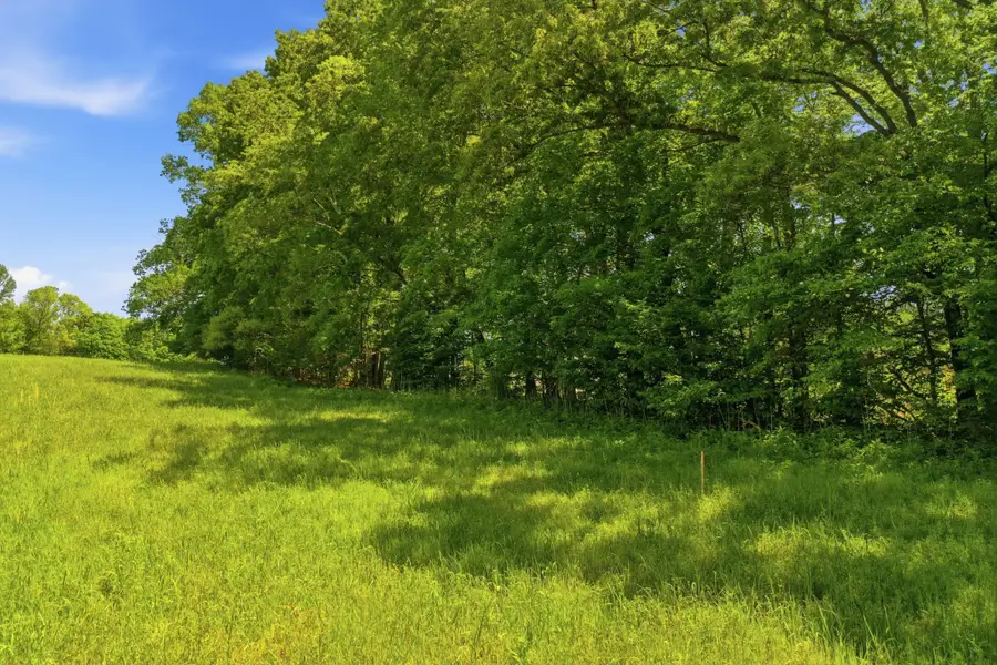 6 Gholson Road, Clarksville, TN 37043 - #2