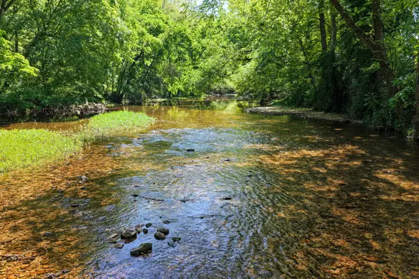 0 Phillips Chapel Rd, Waynesboro, TN 38485