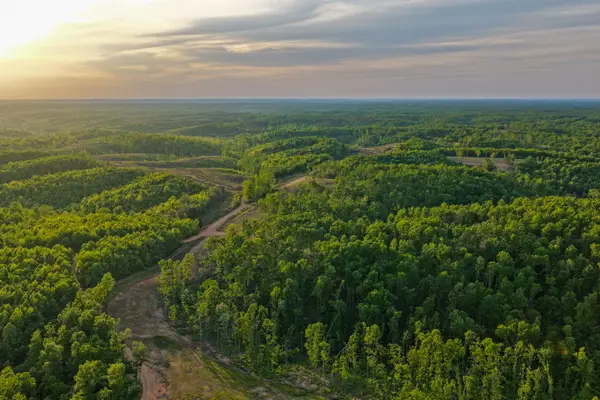 0 Firetower Rd, Centerville, TN 37033