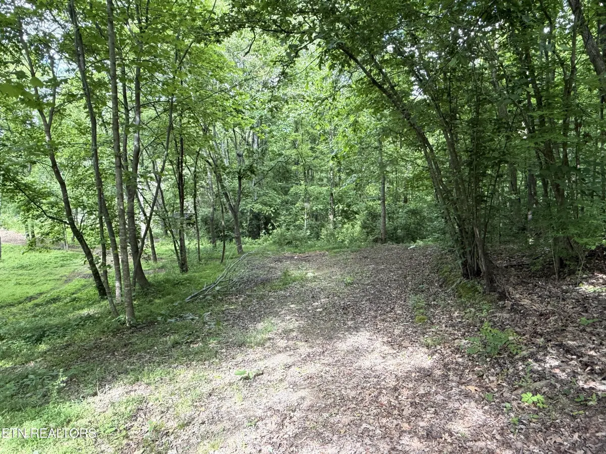 316 Wiley Town Rd, Newport, TN 37821 - #1