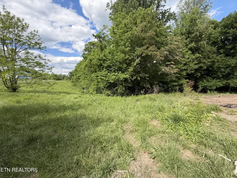 316 Wiley Town Rd, Newport, TN 37821 - #2