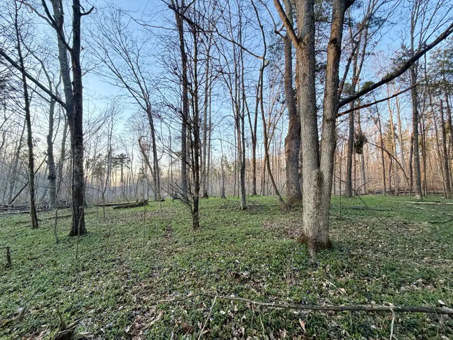 1 Highland Rd, Westmoreland, TN 37186 - #3