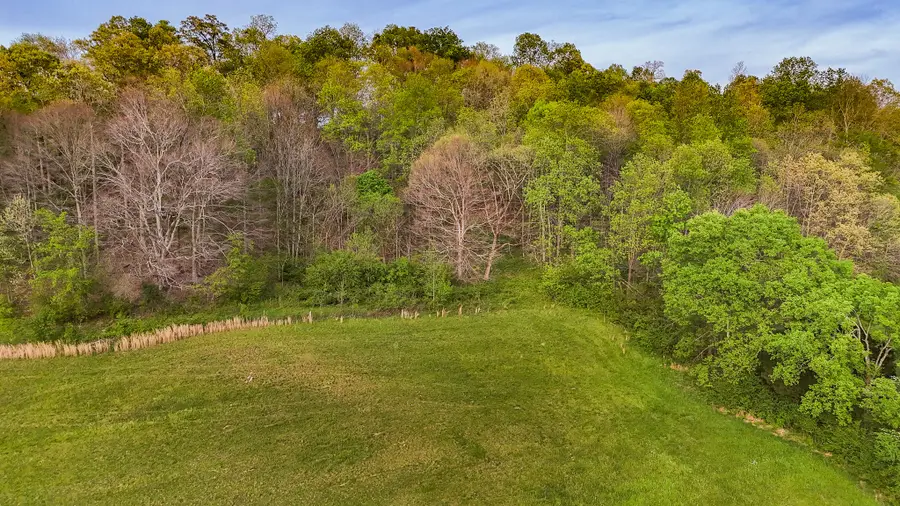 53 Pleasant Hill Rd, Lynchburg, TN 37352 - #2