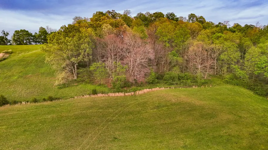 53 Pleasant Hill Rd, Lynchburg, TN 37352 - #3