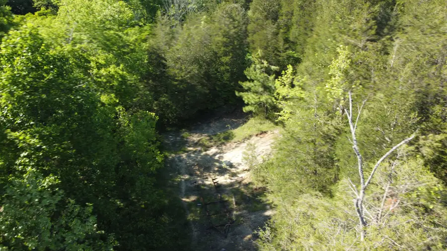 738 Rogues Fork Rd, Bethpage, TN 37022 - #3