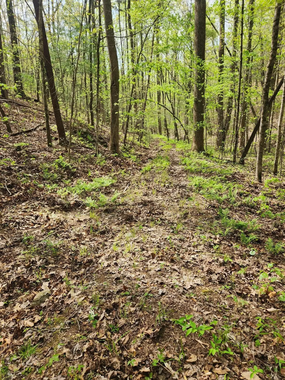 0 Chestnut Mountain Road, Reliance, TN 37369 - #1