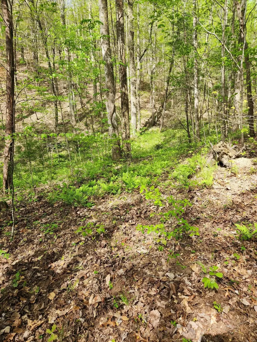 0 Chestnut Mountain Road, Reliance, TN 37369 - #2