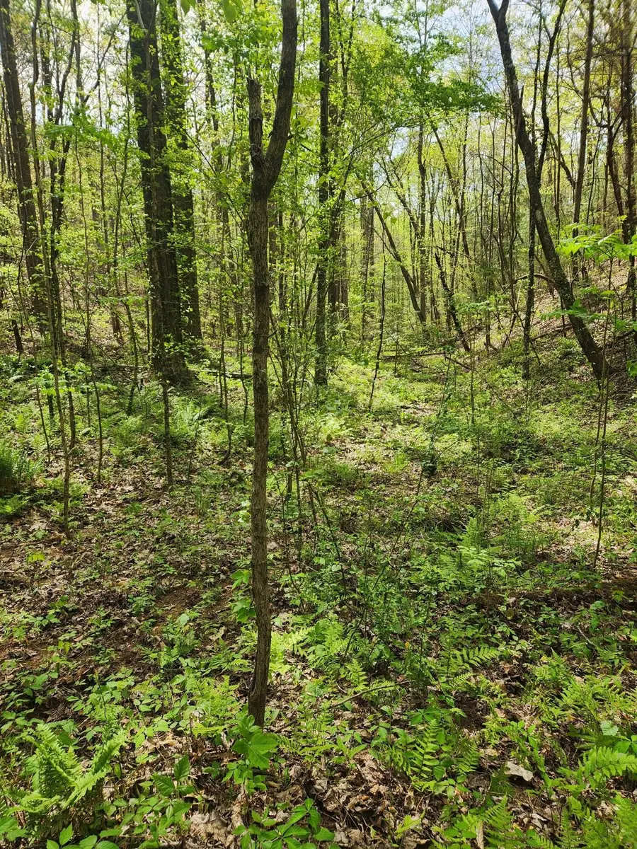0 Chestnut Mountain Road, Reliance, TN 37369 - #3