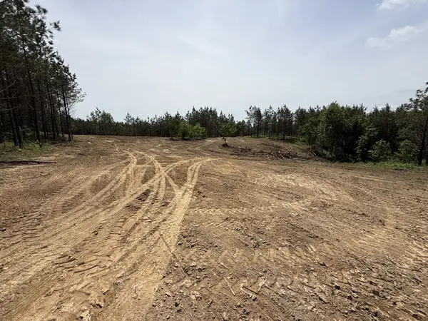 0 Hwy 231, Erin, TN 37061