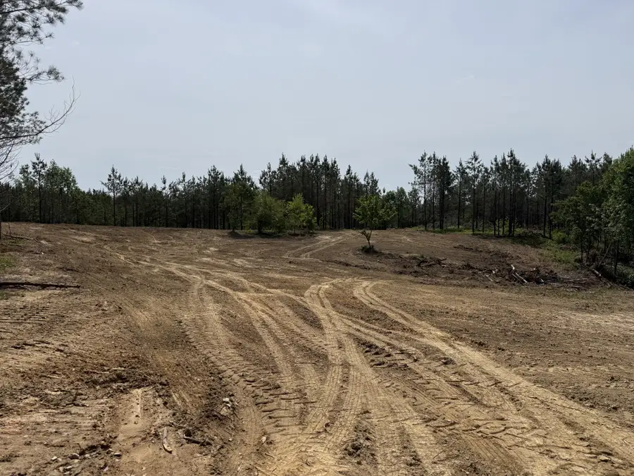 0 Hwy 231, Erin, TN 37061 - #2