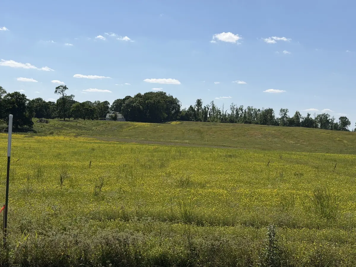 0 Pinson Rd, Springfield, TN 37172 - #1
