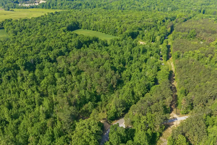 1761 Pugh Rd, Holladay, TN 38341 - #3