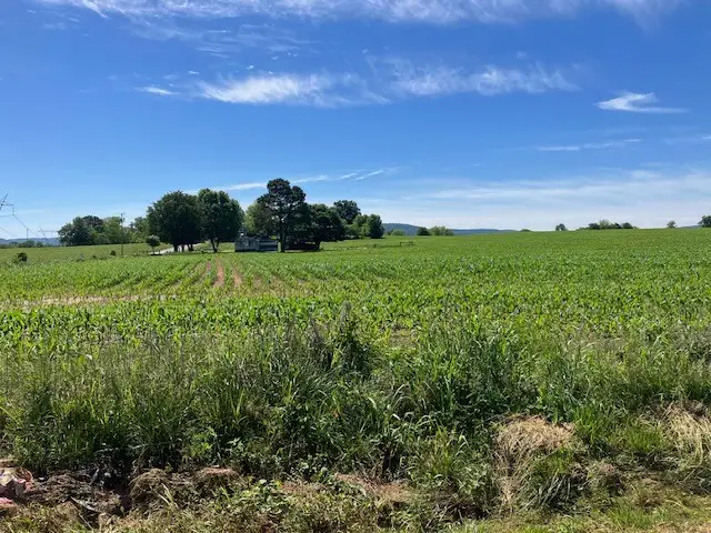 0 Wilder Rd, Hillsboro, TN 37342 - #1