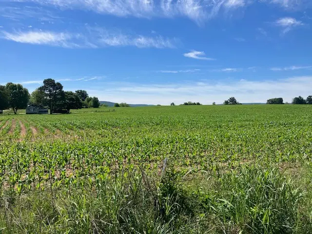 0 Wilder Rd, Hillsboro, TN 37342 - #3