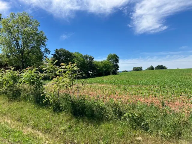 0 Wilder Rd, Hillsboro, TN 37342 - #3