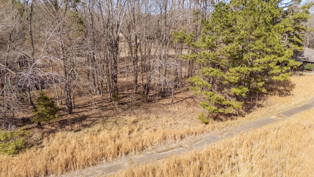 0 Treadwell Prong Rd, Linden, TN 37096 - #1