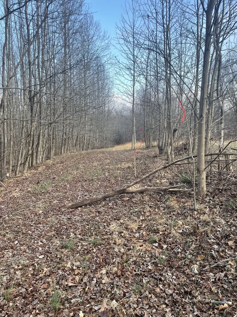 0 Sugar Tree Knob Rd, Liberty, TN 37095 - #3