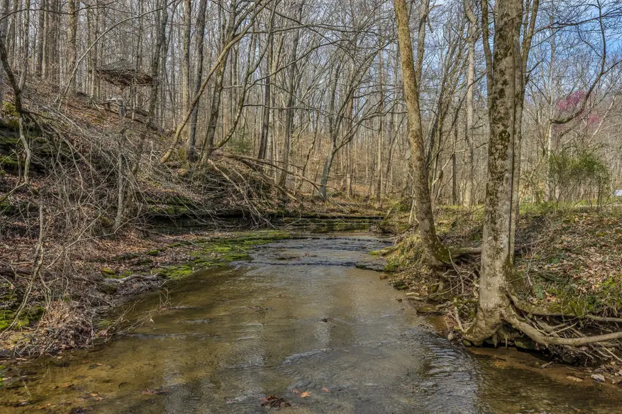 7575 King Rd, Fairview, TN 37062 - #3
