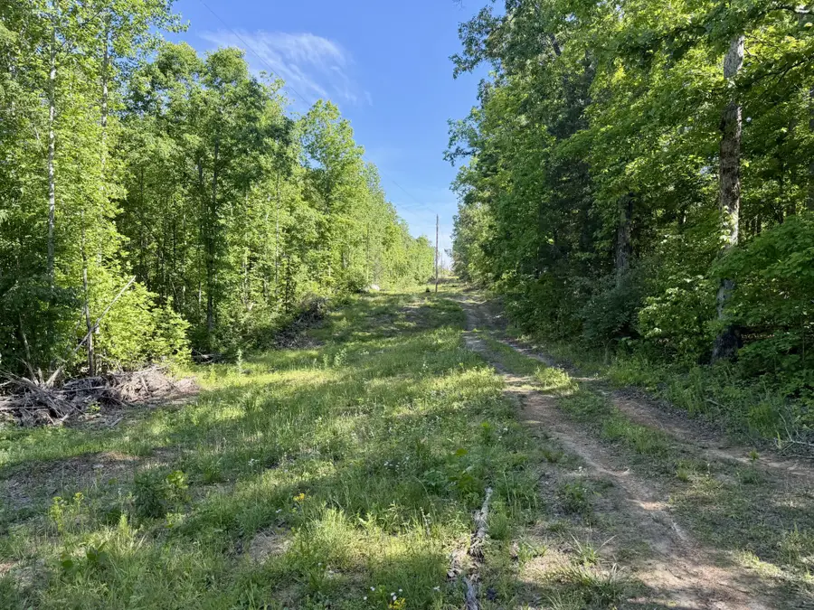 0 Campground Hollow Road, Nunnelly, TN 37137 - #2