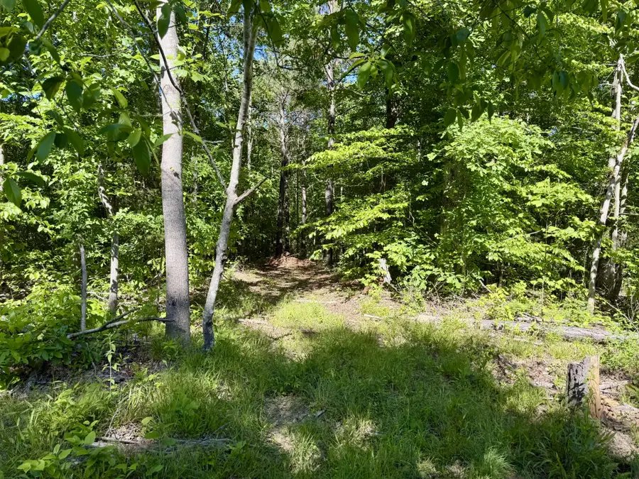 0 Campground Hollow Road, Nunnelly, TN 37137 - #3
