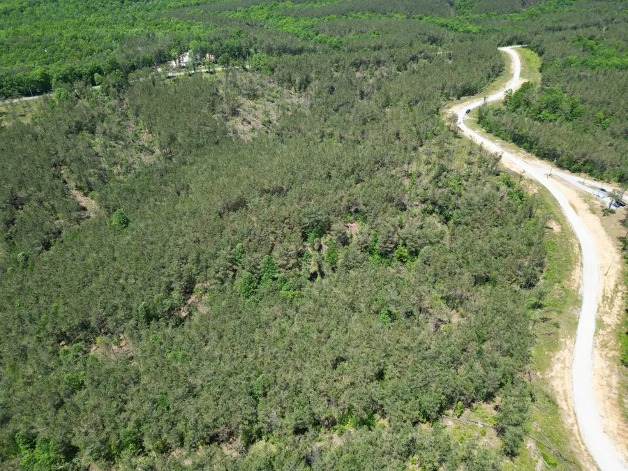 140 Pinewood Dr, Hohenwald, TN 38462 - #3