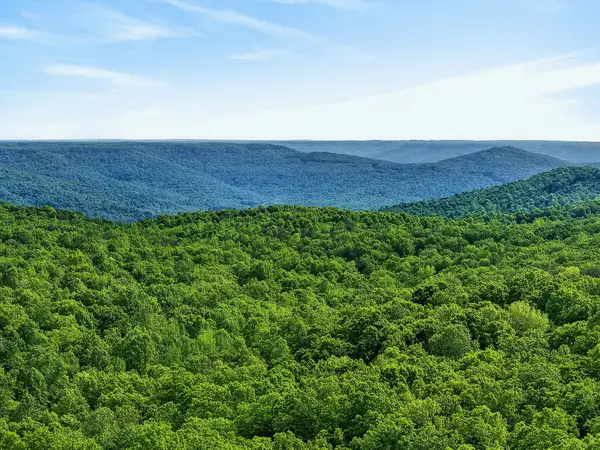 0 Harrison Ferry Road, McMinnville, TN 37110