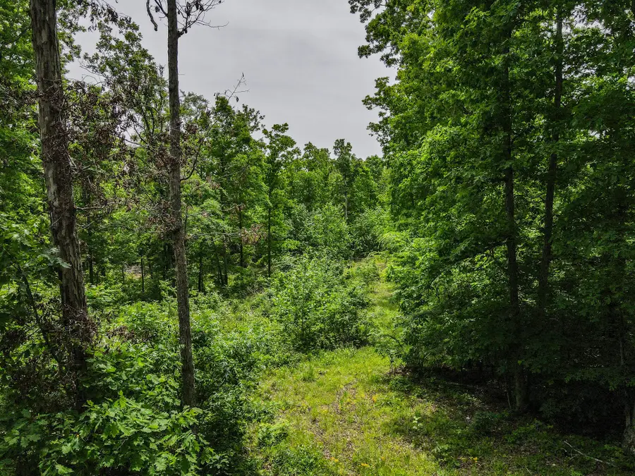 1855 Shiloh Church Rd, Camden, TN 38320 - #2