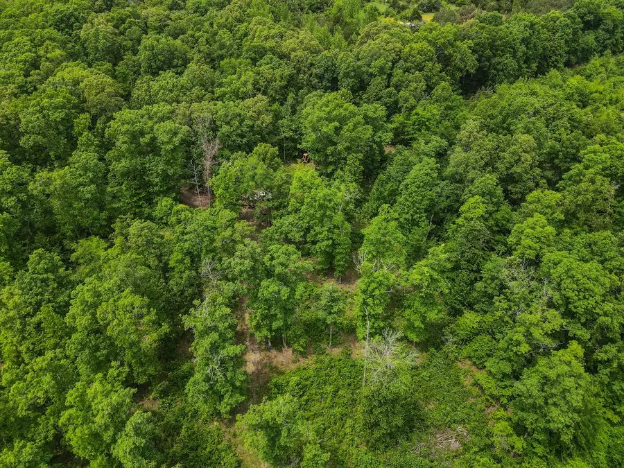1855 Shiloh Church Rd, Camden, TN 38320 - #3